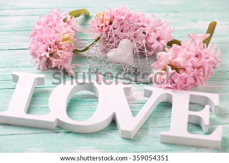 Pink hyacinths flowers, decorative heart and wooden word love  on turquoise  background. Selective focus.