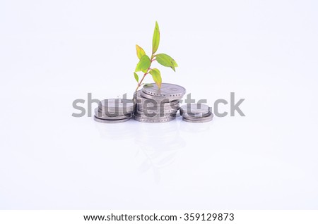 plant sprouting from a group of coins white background. business concept