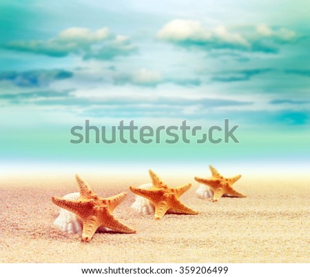 Starfish on the summer beach