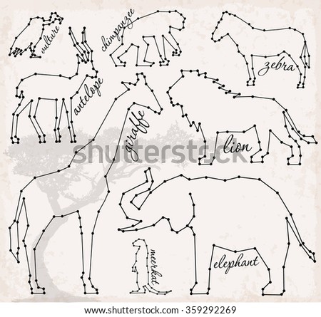 Abstract Line and Dot Savanna Animals Set Vector Illustrations