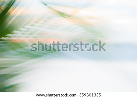 Abstract tropical palm tree leaves in motion against sunlight background Blurred leaves in black and white moving in summer wind on the beach Miami Florida, ideal for travel blog, shop, magazines