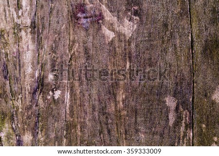 Surface of wood background.