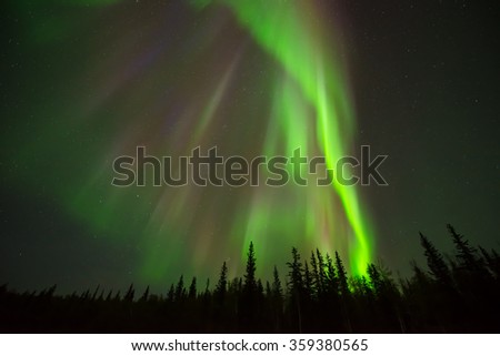 Shining Down - An array of colorful northern lights shining down over an alpine forest from the starry night sky. 