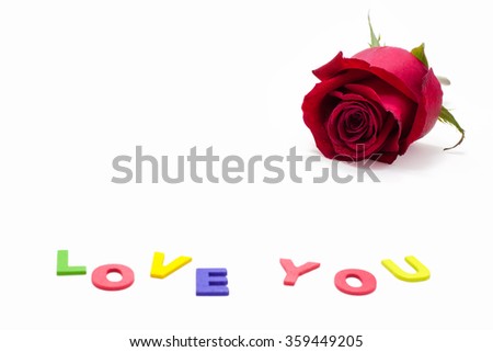 red rose with dew drops and word "LOVE YOU" isolated on white background, love concept for valentines day