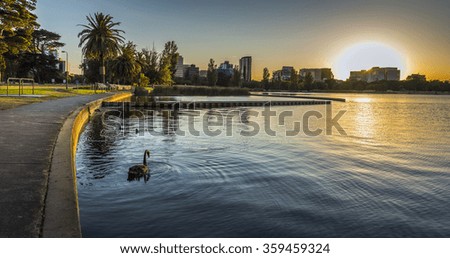 swan lake city park sunrise Melbourne