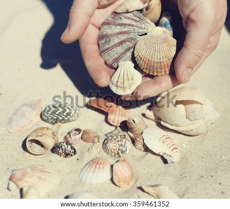 Instagram looking picture of male hands holding seashells over sand background. Soft focus, shallow DoF