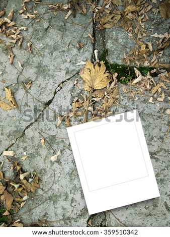 Close-up of one square photo frame on cracked rock and dry leaves background