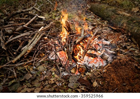The fire in the forest. Hike.