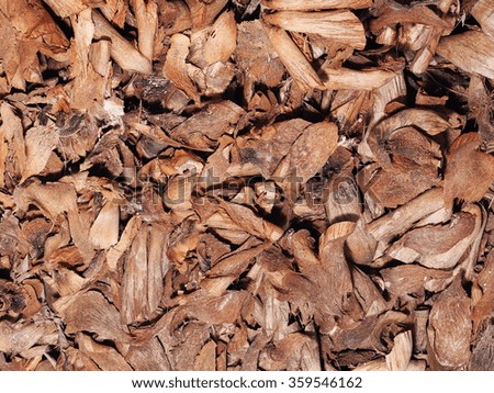 chopped brown dried small pieces of strong natural fibre as by product from young coconut peeling process as textured background  backdrop pattern close up 