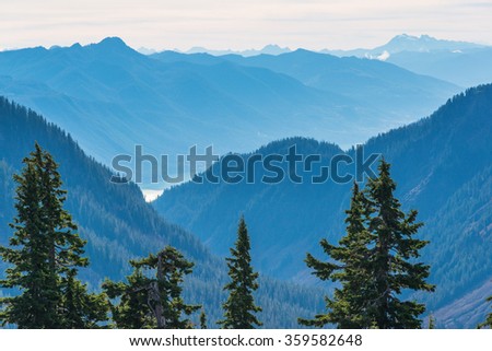 trees and blue mountain,some scenic view of mt Shuksan in Artist point area on the day,summer,Washington,USA.