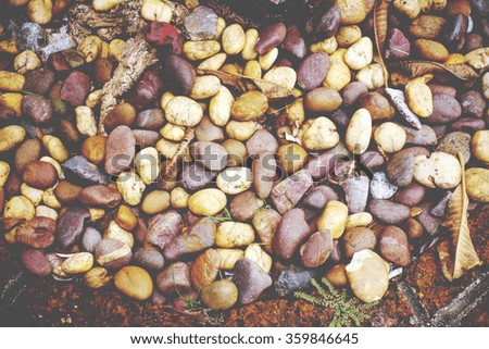 Colorful stone texture with dry leaf, soil and plant