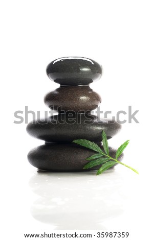 Isolated massage stones with green tree leaf