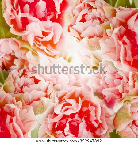 Background of beautiful flowers.