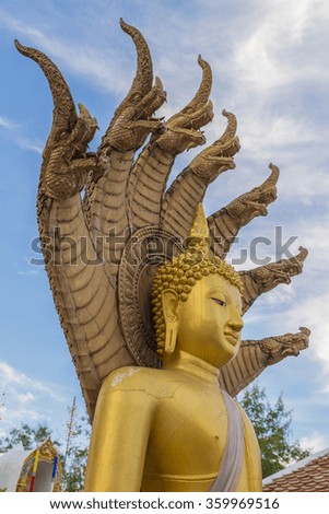 Golden Buddha statue with Naka cover pose closeup in golden vintage tone like old picture in Trad, Thailand
