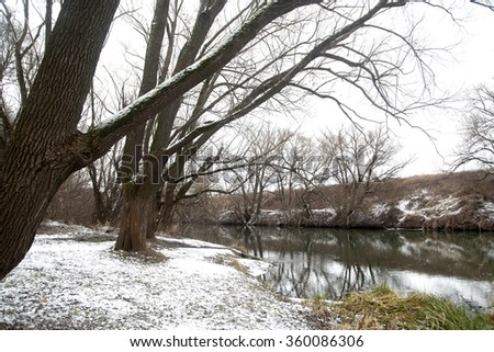 Winter landscape. Riverside