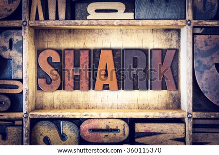 The word "Shark" written in vintage wooden letterpress type.