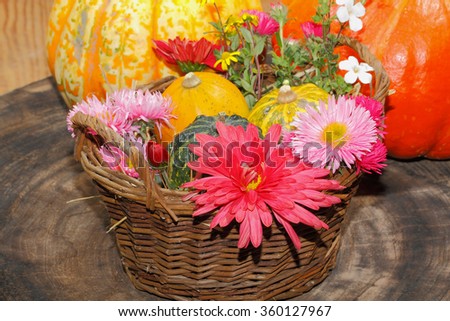 Flowers various garden flowers and ornamental gourds in a basket, table setting, place setting on a table Flowers, Thanksgiving