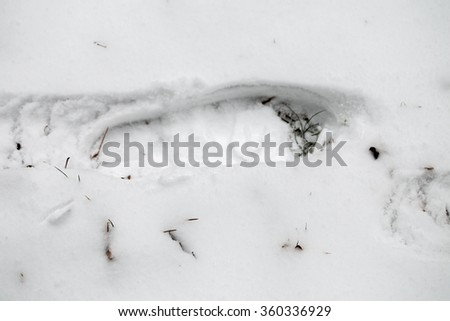 Shoe print in a thin layer freshly fallen snow. Close up.