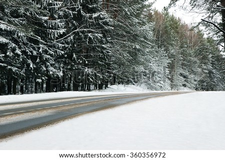 Winter. Winter road through snowy fields and forests. Winter road surrounded by snow-covered trees