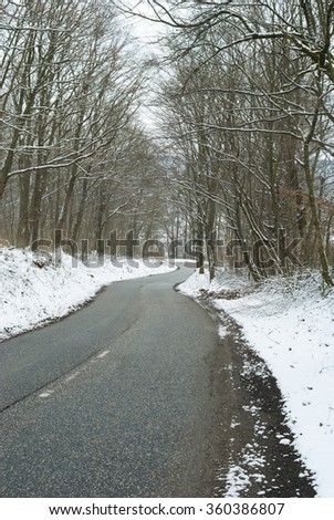 winding road in woods at winter