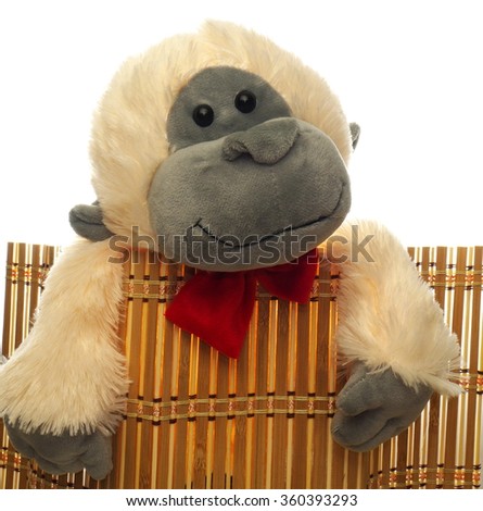 monkey soft toy peeking out from behind a bamboo screen, isolated on white background
