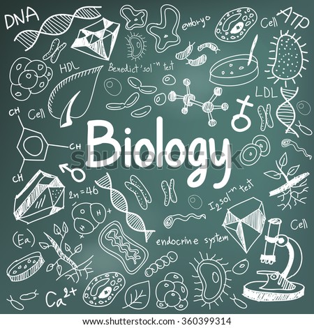 Biology science theory doodle handwriting and tool model icon in blackboard background used for school education and document decoration, create by vector Royalty-Free Stock Photo #360399314