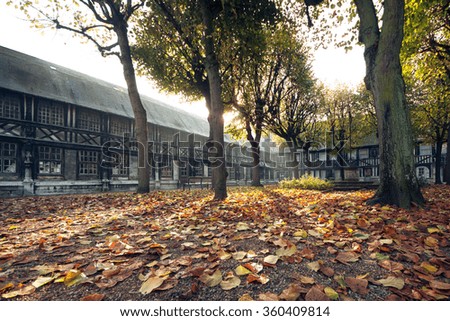 yellow leaves in romantic autumn park; beautiful golden fall in Rouen France;