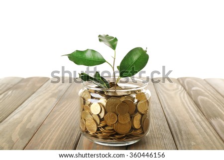 Plant growing in bowl of coins on a table isolated on white