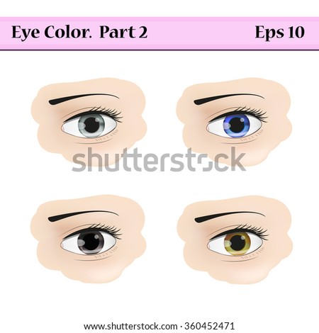 Types of eye color. Gray, blue, black  and  greenish-brown. Vector illustration isolated on a white background. 