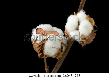 Little sleeping newborn baby photoshopped into a soft cotton ball