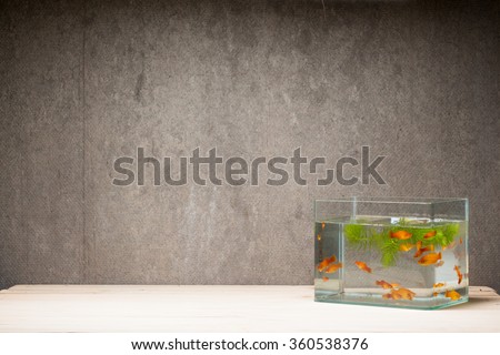 fish tank on table wooden