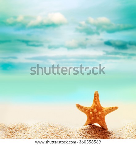 Starfish on the summer beach