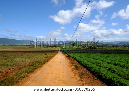 Wide agriculture area at Dalat countryside, Vietnam on day, new crop for spring, flower field and vegetable farm under mountain, panorama of farmland, farmer working on plantation, Da Lat, Viet Nam