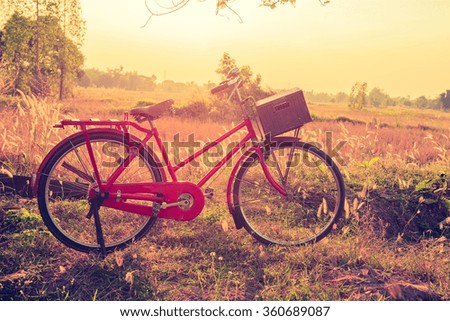 beautiful landscape image with vintage Bicycle at sunset,classic bicycle,old bicycle style for greeting Cards ,post card