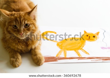 Fluffy ginger cat lyes on a child's drawing  