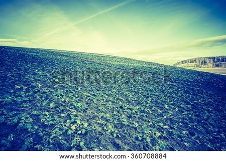 Vintage photo of early winter or late autumnal landscape of field at good weather. Fields with little snow.