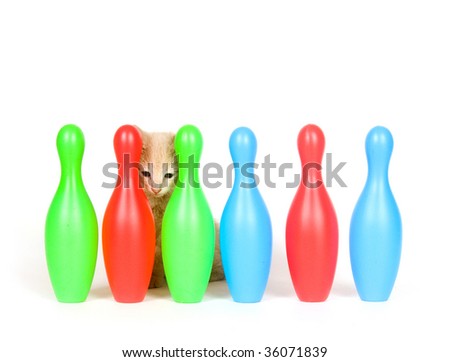 Cute kitten investigates colorful bowling pins on white background