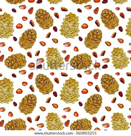 from Siberia with love. pine nuts, pine cones 