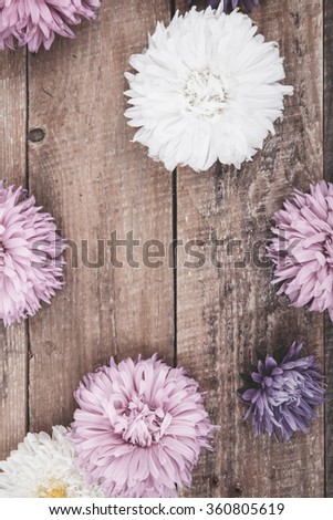 aster on a wooden background