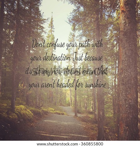 captivating instagram of forest path in summer with quote