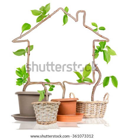 Photo of plants growing from pots forming house isolated on white