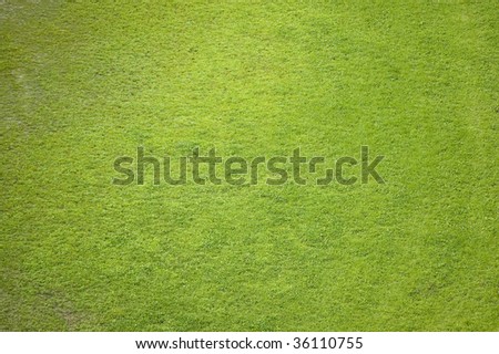 aeral of soccer (football) grass field  / natural background