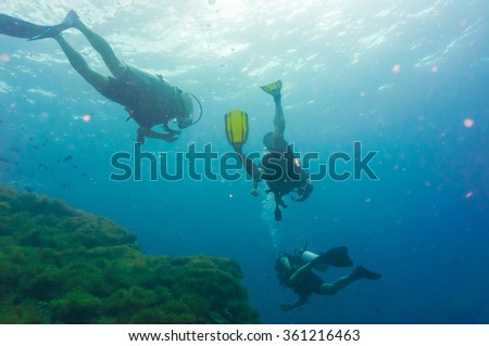 Scuba diving on coral reef in sea, Koh Tao, Thailand