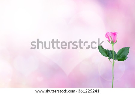 Over blur pink flower with De focused heart bokeh textures background art with rose flower, love, pink love, sweetheart, valentine day concept. backdrop, Happy valentine day