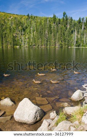 Photo of clear water in lake whit blue sky