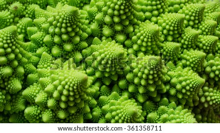 Vegetable's natural fractals  Royalty-Free Stock Photo #361358711