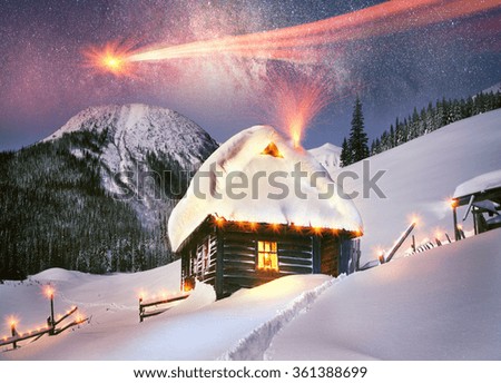 Climbing to tourist wild alpine mountain to an abandoned cabin-in order to illuminate the snow-covered spruce canopy during moonrise, moonset, to see the first star of Christmas in the Carpathians

