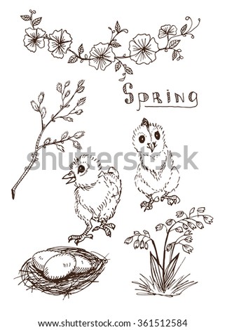 Hand drawn vector spring set. Sketches of Easter chickens,  eggs in nest and pussy-willow twigs.