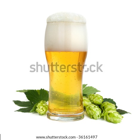 Hops twig on the glass with beer