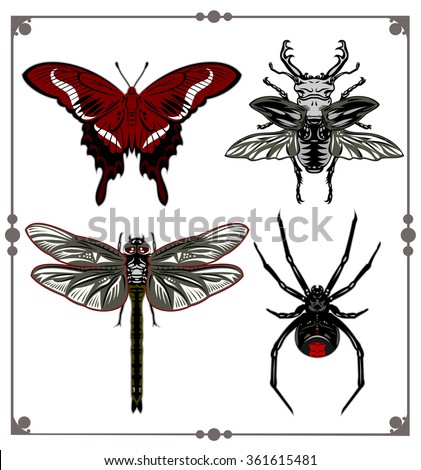 set of images of insects in a vintage style